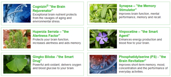 brain pill ingredients